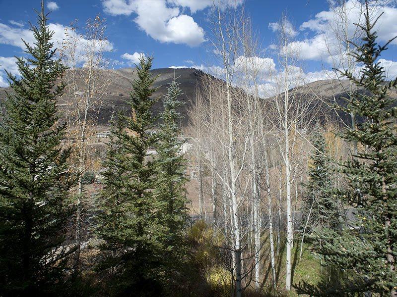 Greenhill Court Vacation Home Vail Luaran gambar